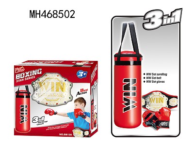3 IN 1 BOXING SET