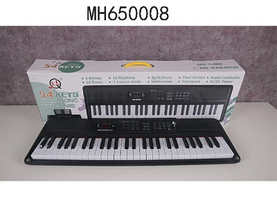54 KEY MULTIPLE FUNCTION ELECTRIC KEYBOARD WITH MICROPHONE /WITH 