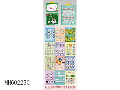 13 IN 1 ARABIC AUDIO WALL CHART CLICK READ LEARNING MACHINE